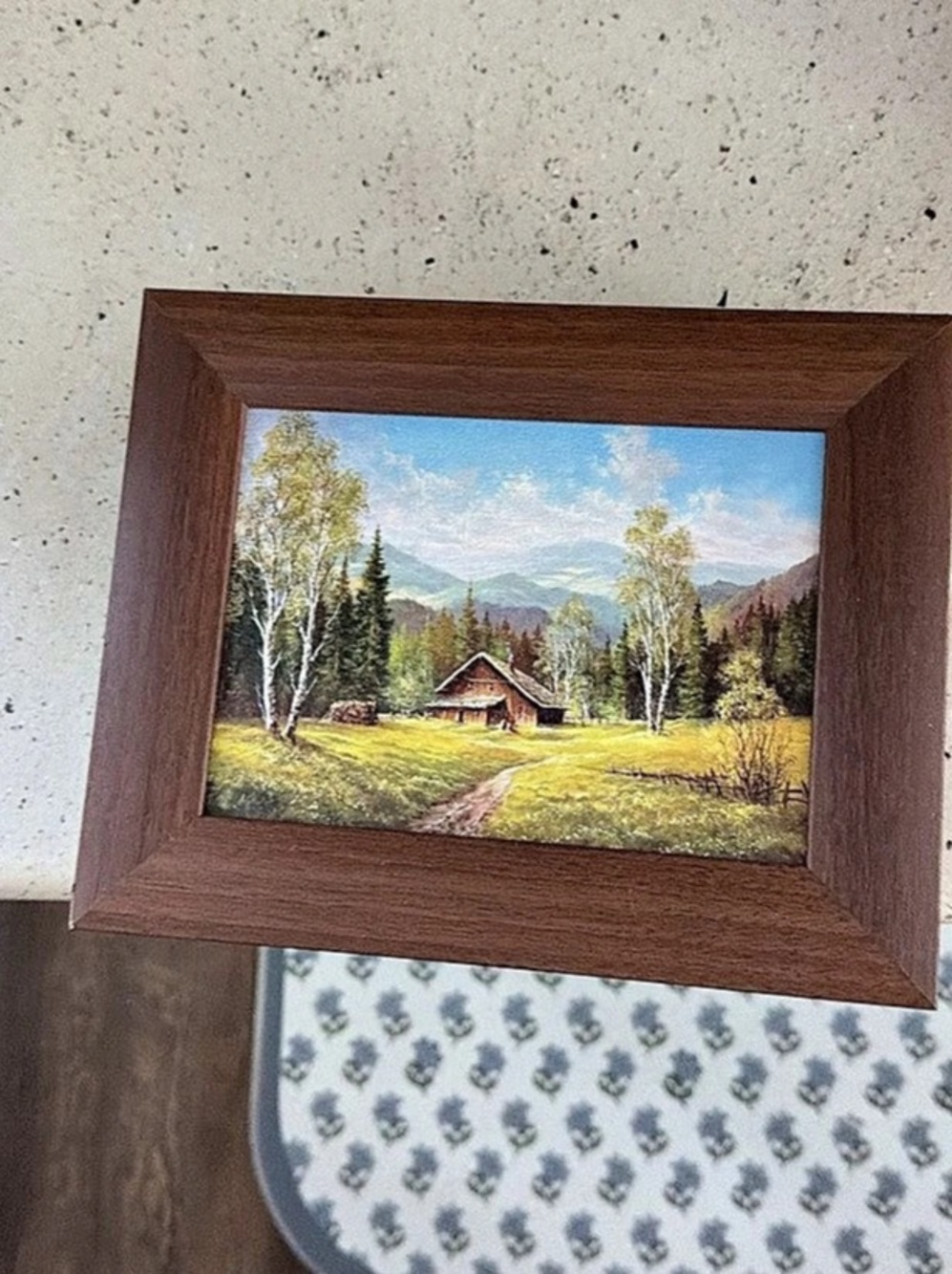 Framed Mountain Landscape Print key holder